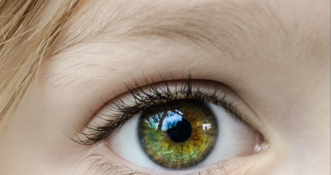 Eyebrow Hair Loss