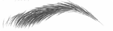 My Two Brows - Temporary Eyebrow Tattoo Stickers For Alopecia, Cancer