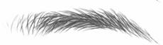 My Two Brows - Temporary Eyebrow Tattoo Stickers For Alopecia, Cancer
